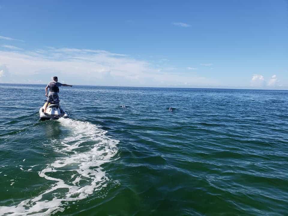 Tour in Fort Myers – What to Expect a person riding on top of a body of water