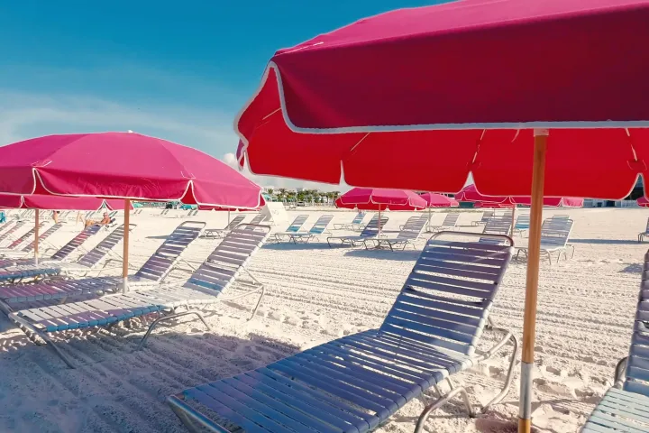 Rows of pink beach umbrellas and chairs on a sandy beach.