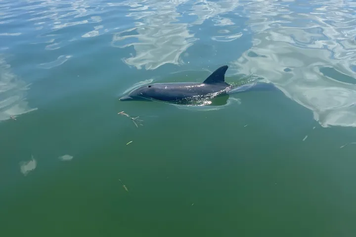 wind and water sports