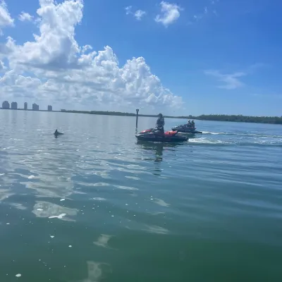 wind and water sports