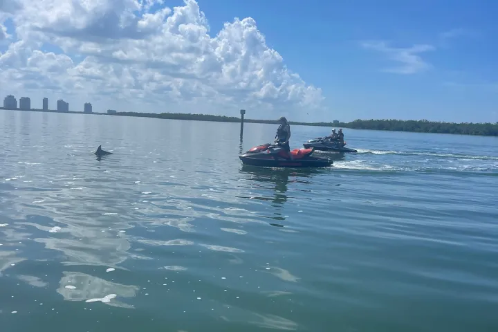 wind and water sports