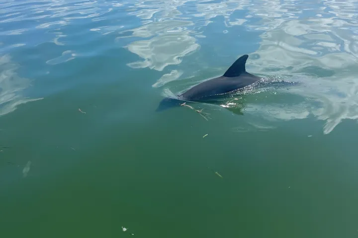 wind and water sports