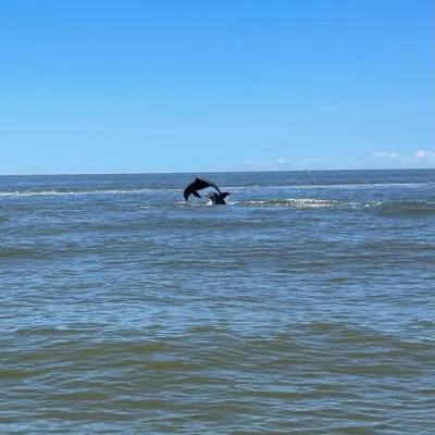 wind and water sports