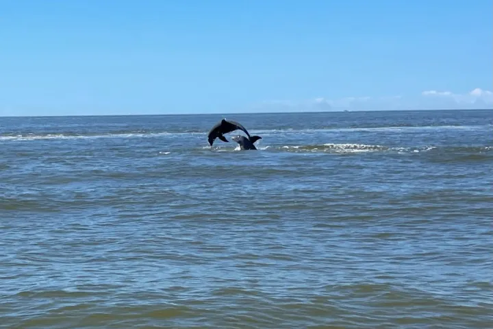 wind and water sports