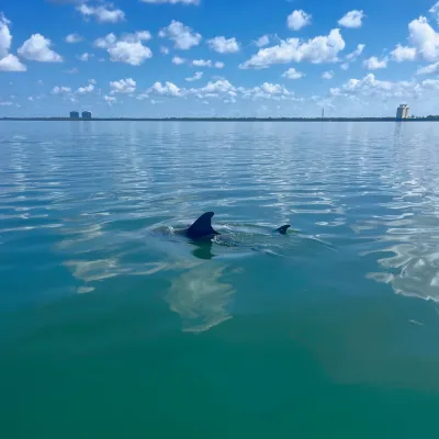 wind and water sports