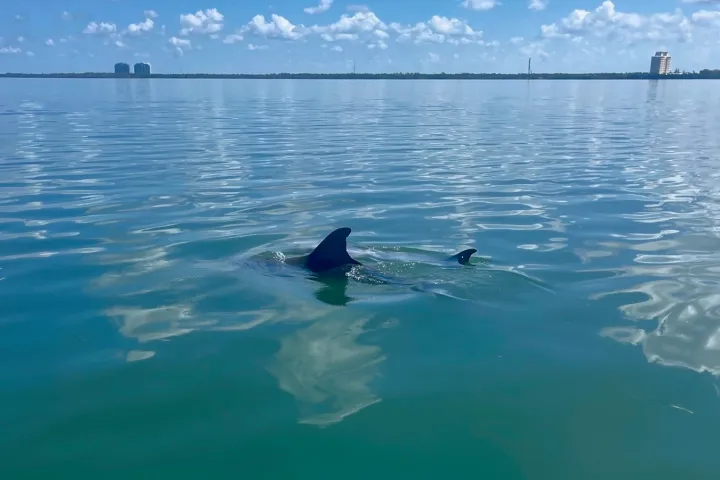 wind and water sports