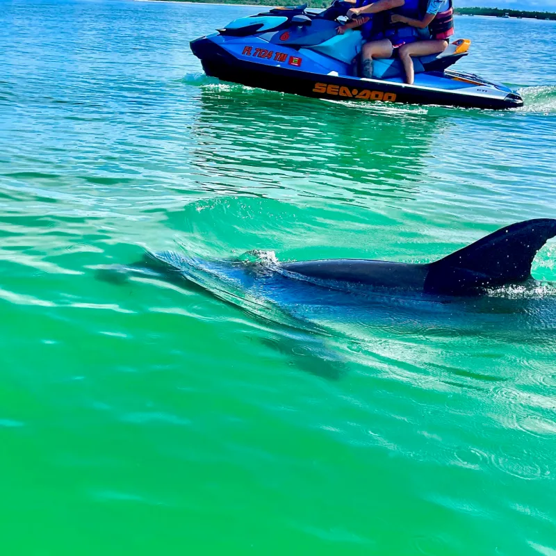 wind and water sports