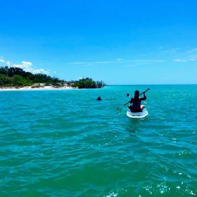 wind and water sports