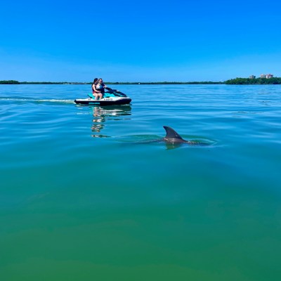 wind and water sports