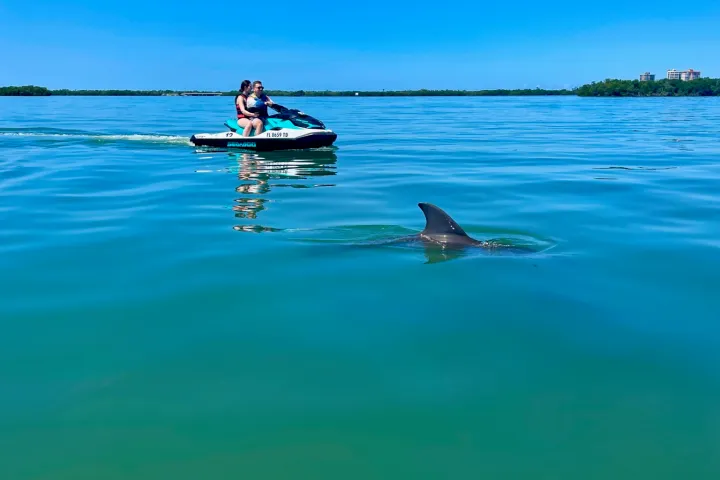 wind and water sports