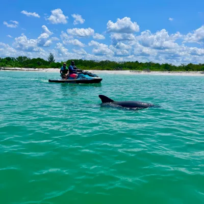 wind and water sports