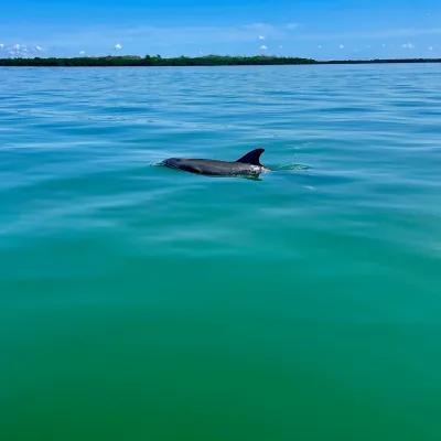 wind and water sports