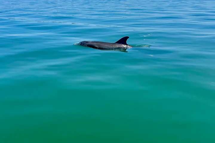 wind and water sports