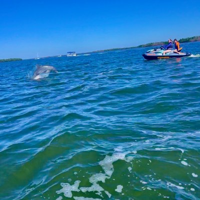 wind and water sports