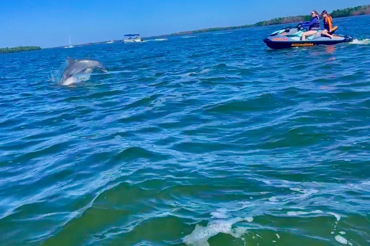 wind and water sports