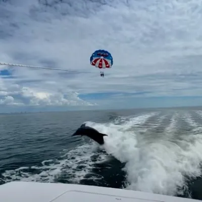 wind and water sports